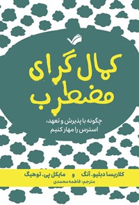 تصویر جلد کتاب کمال گرای مضطرب