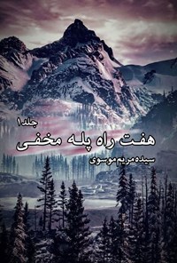 تصویر جلد کتاب هفت راه پله مخفی (جلد اول)