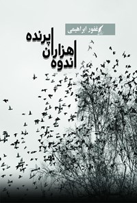 تصویر جلد کتاب اندوه هزاران پرنده