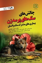 تصویر جلد کتاب چالش های سگ های پرسه زن