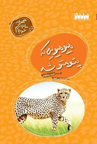 تصویر جلد کتاب میو میویی که پتو متو شد