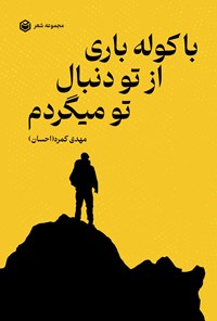 تصویر جلد کتاب با کوله باری از تو دنبال تو می گردم