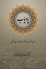 تصویر جلد کتاب پادیاب
