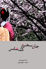 تصویر جلد کتاب جان‌سخت و کم‌شانس