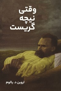 تصویر جلد کتاب وقتی نیچه گریست