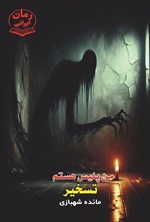 تصویر جلد کتاب من پلیس هستم، تسخیر