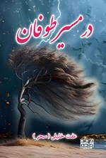 تصویر جلد کتاب در مسیر طوفان