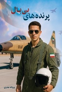 تصویر جلد کتاب پرنده های بی بال