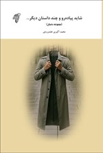 تصویر جلد کتاب شاید پیاده رو و چند داستان دیگر...