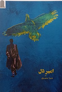 تصویر جلد کتاب امیر دل