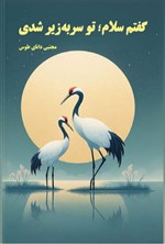 تصویر جلد کتاب گفتم سلام؛ تو سر به زیر شدی