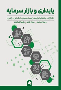 تصویر جلد کتاب پایداری و بازار سرمایه