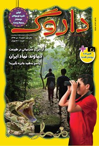 تصویر جلد کتاب ماهنامه داروگ ـ شماره ۱۱ ـ تیر ۹۶