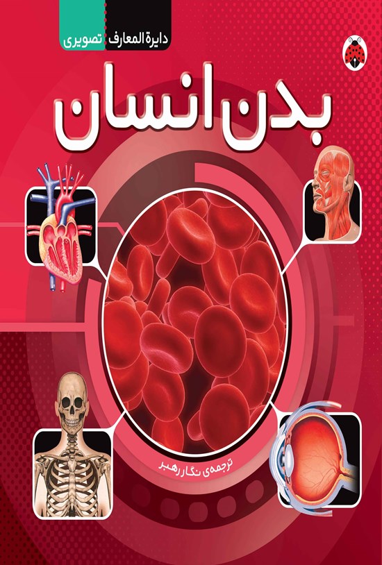 تصویر جلد کتاب دایره المعارف تصویری؛ بدن انسان