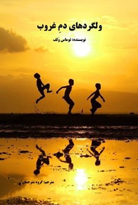 تصویر جلد کتاب ولگردهای دم غروب