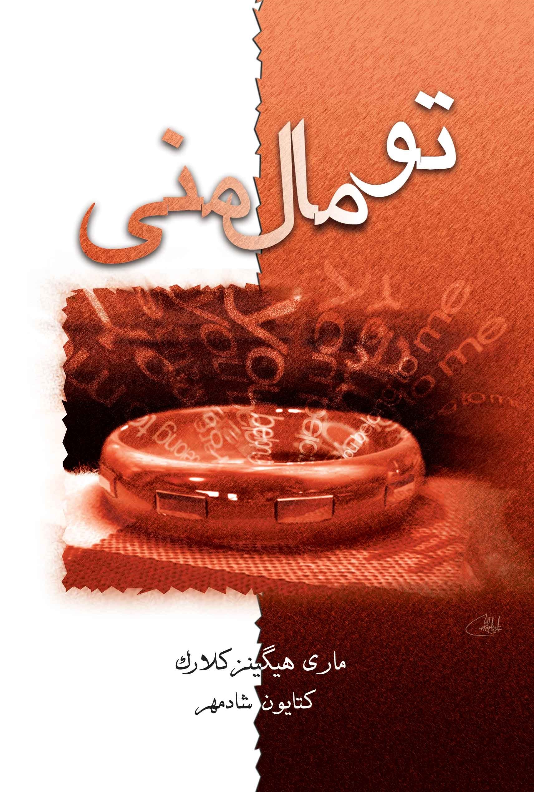 تصویر جلد کتاب تو مال منی