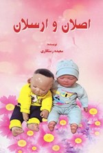 تصویر جلد کتاب اصلان و ارسلان