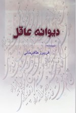 تصویر جلد کتاب دیوانه عاقل