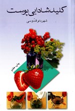 تصویر جلد کتاب کلید شادابی پوست