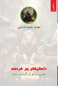 تصویر جلد کتاب داستان های پیر خردمند