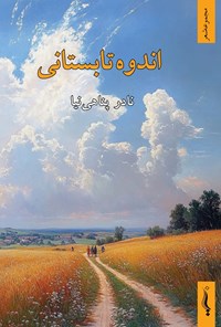 تصویر جلد کتاب اندوه تابستانی
