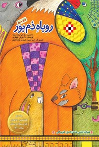 تصویر جلد کتاب روباه دم بور