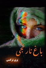 تصویر جلد کتاب باغ نارنجی