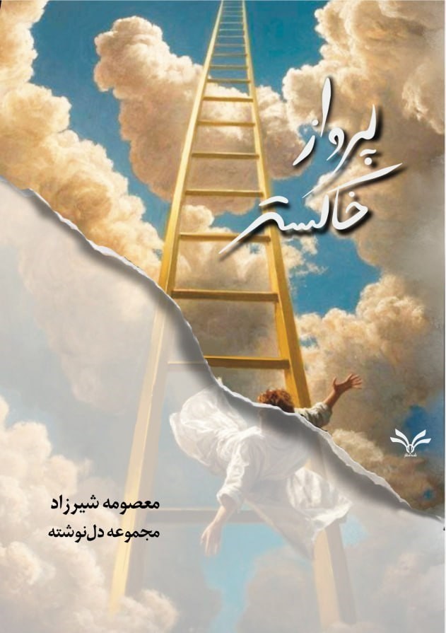تصویر جلد کتاب پرواز خاکستر