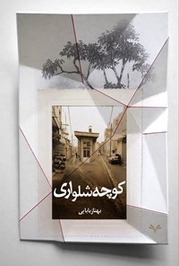 تصویر جلد کتاب کوچه شلواری