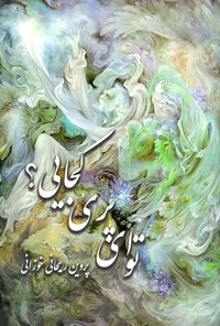 تصویر جلد کتاب تو ای پری کجایی؟