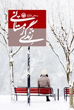 تصویر جلد کتاب زندگی زمستانی
