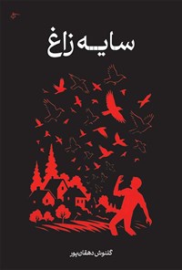 تصویر جلد کتاب سایه زاغ