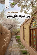 تصویر جلد کتاب پس کوچه های شعر