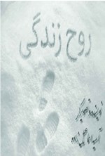 تصویر جلد کتاب روح زندگی