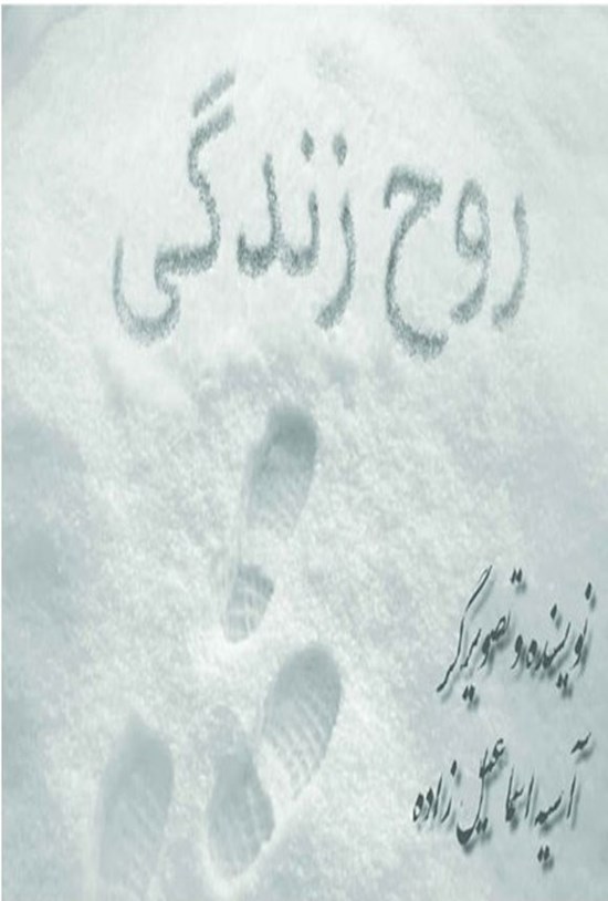 تصویر جلد کتاب روح زندگی