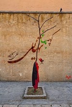 تصویر جلد کتاب کوچه باغ تنهایی