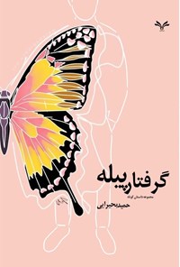 تصویر جلد کتاب گرفتار پیله