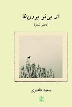 تصویر جلد کتاب از بی تو بودن ها