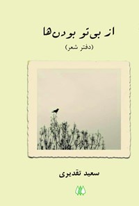 تصویر جلد کتاب از بی تو بودن ها
