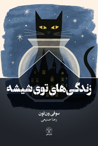 تصویر جلد کتاب زندگی های توی شیشه