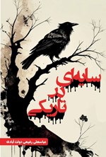 تصویر جلد کتاب سایه ای در تاریکی