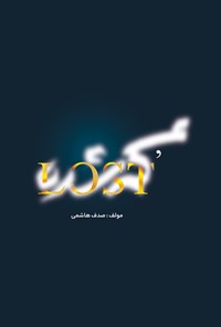 تصویر جلد کتاب گمشده