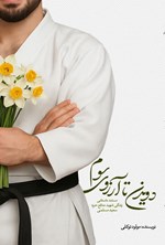 تصویر جلد کتاب دویدن تا آرزوی سوم