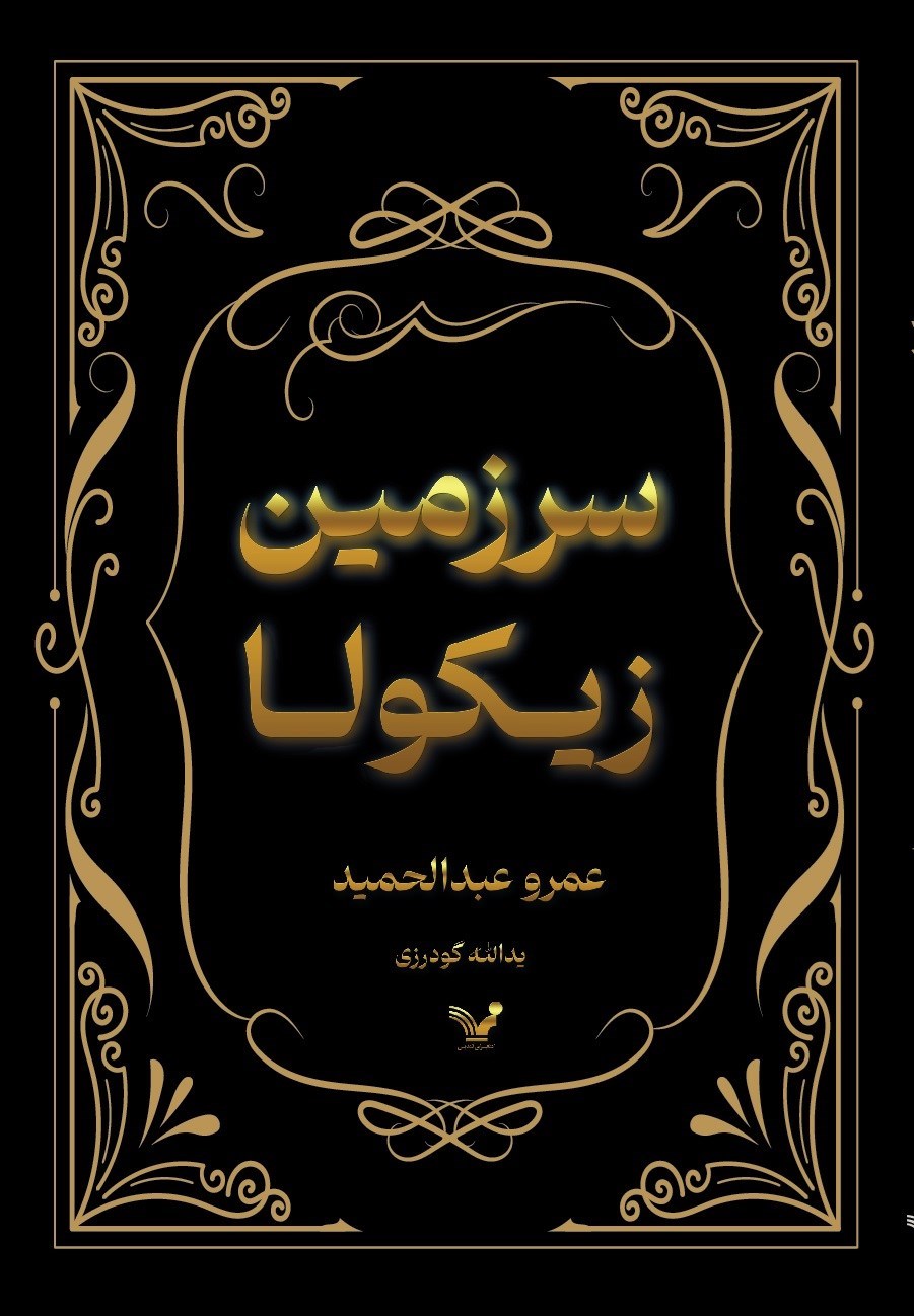 تصویر جلد کتاب سرزمین زیکولا