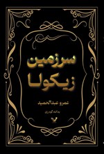 تصویر جلد کتاب سرزمین زیکولا