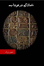 تصویر جلد کتاب تانگو در مرداب