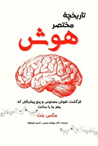 تصویر جلد کتاب تاریخچه مختصر هوش