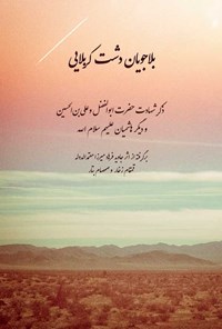 تصویر جلد کتاب بلاجویان دشت کربلایی