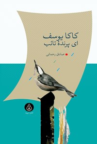 تصویر جلد کتاب کاکایوسف ای پرنده تائب