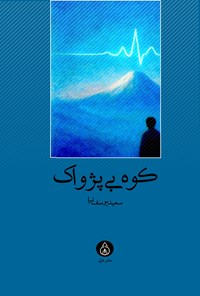 تصویر جلد کتاب کوه بی پژواک